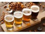 GFP - BIRRERIA PUB CON CUCINA ENTROTERRA LAGO