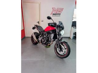 Suzuki SV 650 STRIPES