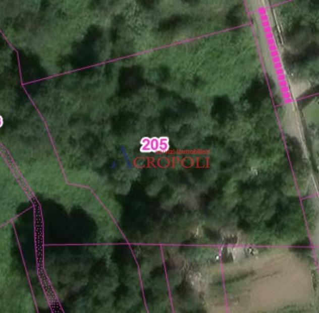 TERRENO AGRICOLO IN VENDITA – MONTE LE FORCHE - Annunci Roma