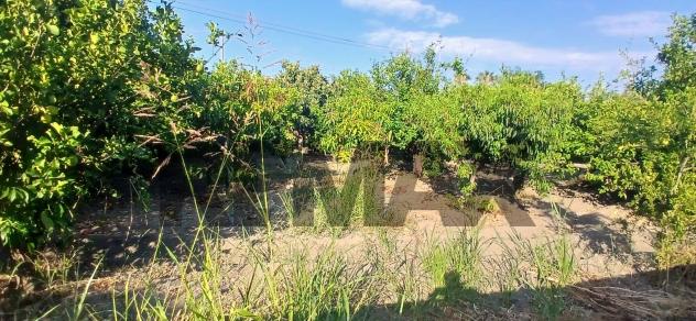 Terreno in vendita a Calatabiano, San Marco - Foto 14