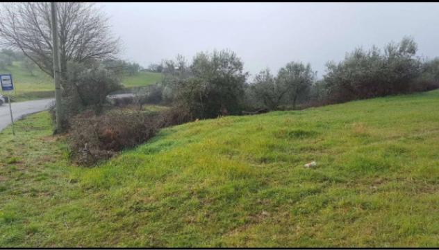 Immobile in asta di 13485 m² in vendita a Gualdo Cattaneo - Foto 6