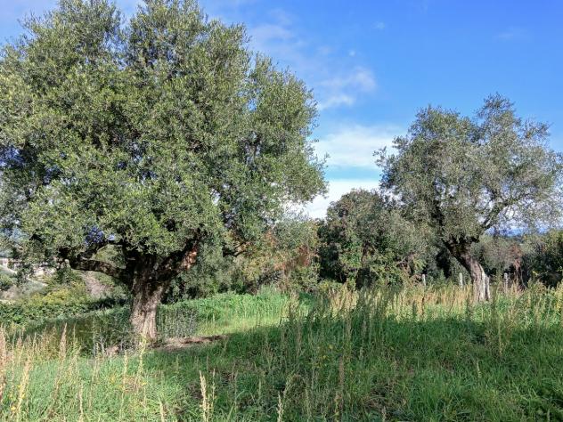 Terreno edificabile in vendita a Morlupo - Foto 17