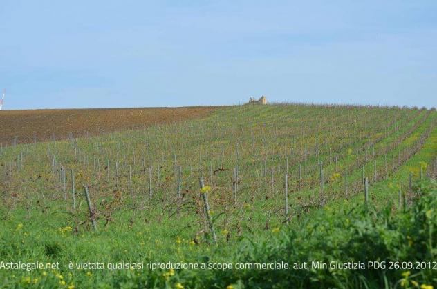 R.G.E. 90/2021 Trapani - Foto 4