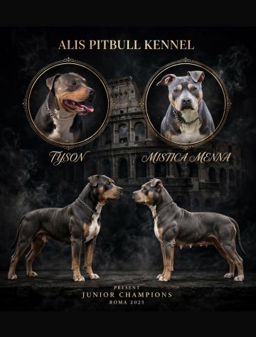 Animali - Foto 2
