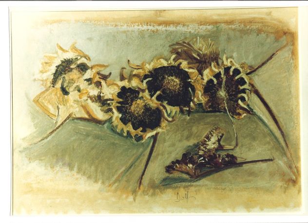 Girasoli