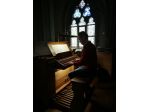 Organista professionista per musica ai matrimoni