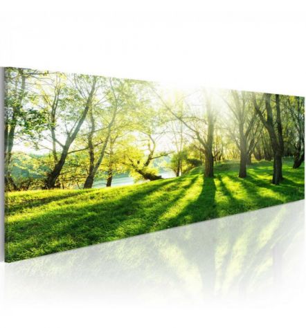 Quadro Foresta Magica - Verde - 120x40 E 135x45 - ARREDALACASA
