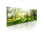 Quadro Foresta Magica - Verde - 120x40 E 135x45 - ARREDALACASA