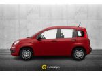 FIAT Panda 1.0 FireFly S&S Hybrid rif. 21647357