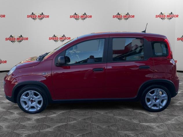 FIAT Panda Panda 1.0 firefly hybrid 70cv 5 POSTI, PRONTA CONSEGNA! - Foto 4