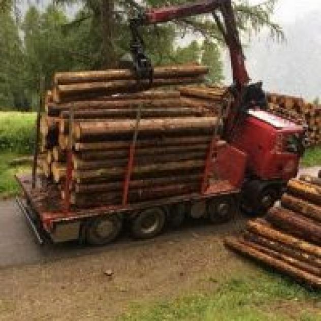 Bezzi Legnami - Foto 2