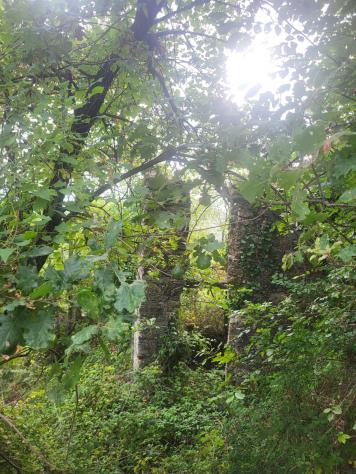 Rustico in vendita a Fossone - Carrara 140 mq Rif: 1352749 - Foto 3