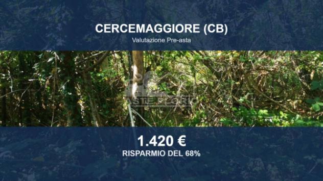 Immobile in asta di 1124 m² in vendita a Cercemaggiore