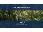 Immobile in asta di 1124 m² in vendita a Cercemaggiore