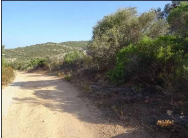 Immobile in asta di 5745 m² in vendita a Olbia - Foto 4