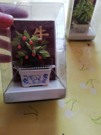 bonsai - Foto 3