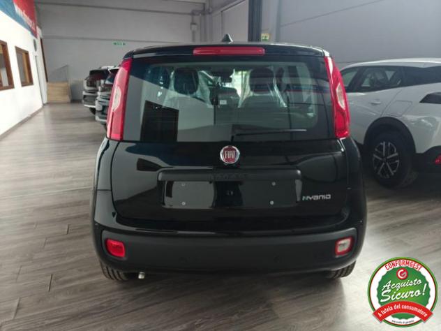 FIAT Pandina 1.0 FireFly 65 CV Hybrid Icon rif. 24112355 - Foto 4