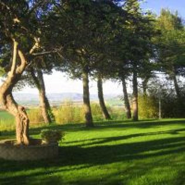 B&B Collesole