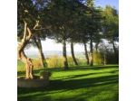 B&B Collesole