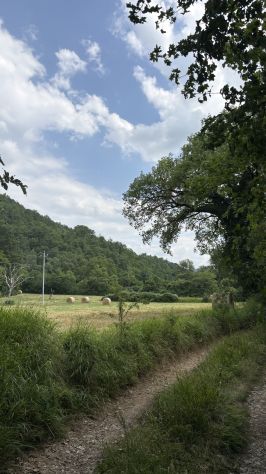 Terreno agricolo 12.000 mq con fronte strada - Foto 4
