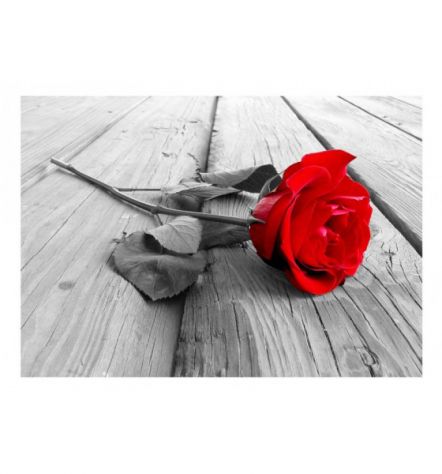 Fotomurale Adesivo Con Una Rosa Rossa Sul Legno ARREDALACASA - Foto 2