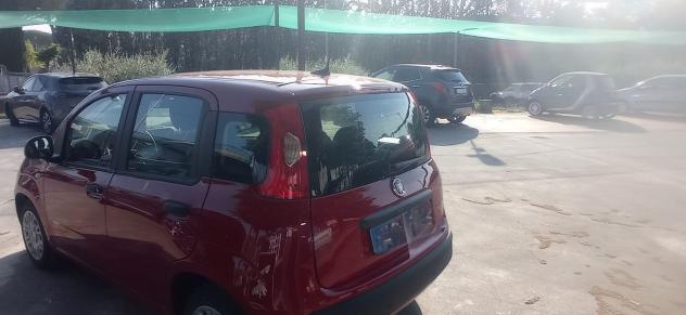 FIAT Panda 1.0 FireFly 70cv S&S Hybrid - Foto 6