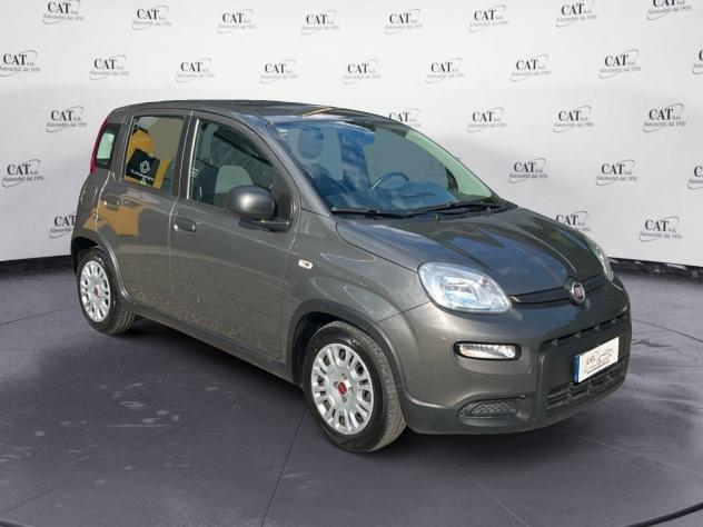 FIAT Panda Panda 1.0 firefly hybrid (prezzo reale) - Foto 3
