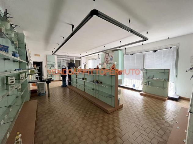 MAGAZZINO CON NEGOZIO-UFFICIO ED AREA DI PERTINENZA