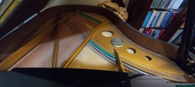 PETROF p173 BREEZE -- pianoforte a coda Repubblica Ceca – 2001