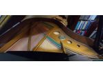 PETROF p173 BREEZE -- pianoforte a coda Repubblica Ceca – 2001