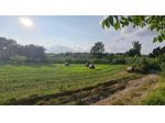 SI VENDE UN TERRENO CON VISTA PANORAMICA IN ZONA SAN GIORGIO, VENOSA (PZ)