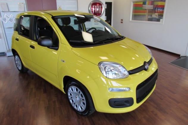 FIAT Panda 1.0 FireFly 70cv S&S Hybrid ICON KMZERO rif. 24047031 - Foto 3