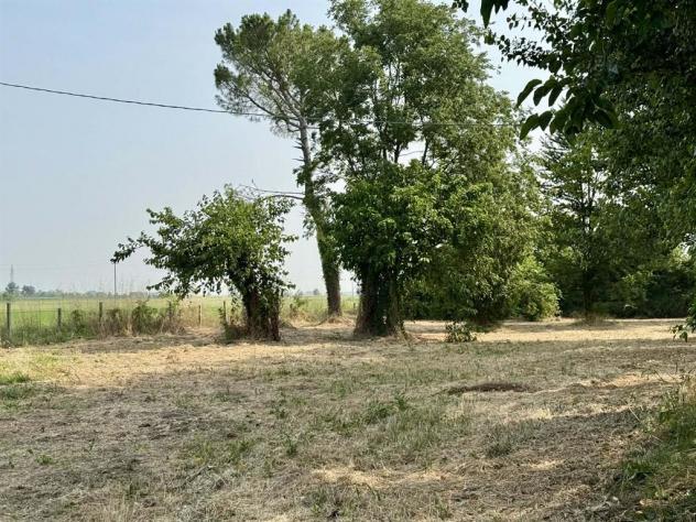 La bifamiliare col boschetto: un angolo di natura e spazio ad Alfonsine - Foto 15