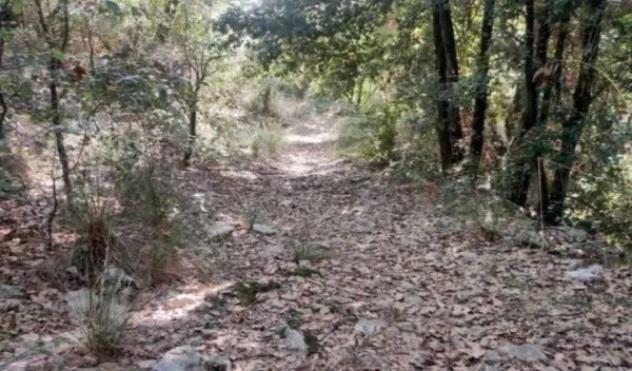 Immobile in asta di 4370 m² in vendita a Maenza - Foto 3