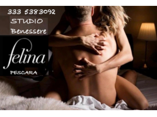 Massaggi - benessere Pescara - FELINA MASSAGGI BENESSERE Tel:3311958888