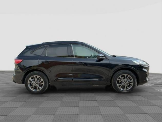 FORD Kuga Kuga 2.5 Plug In Hybrid 225 CV CVT 2WD ST-Line rif. 23965728 - Foto 6