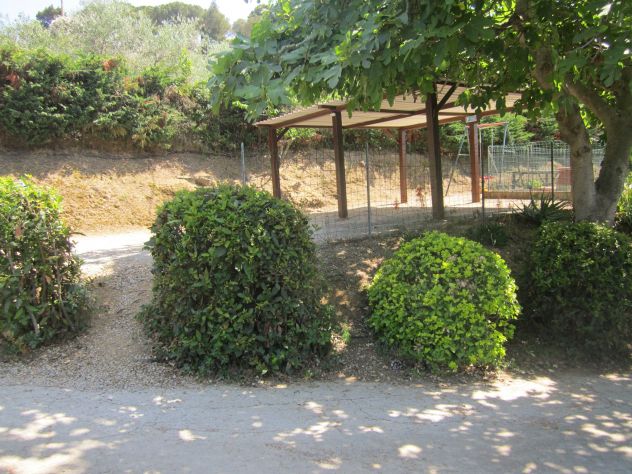 VILLA GIULIANA, appartamenti per vacanze all'Isola d'Elba. - Foto 7