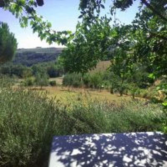 Fattoria Ma' Falda Societa' Agricola - Foto 4