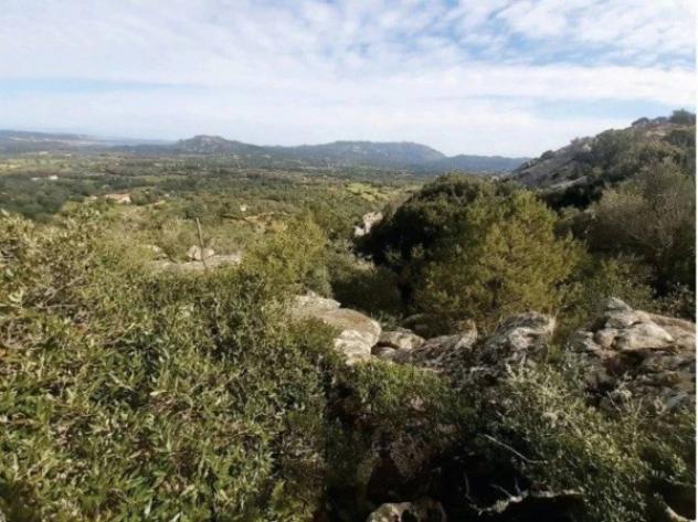 Immobile in asta di 12561 m² in vendita a Arzachena - Foto 4