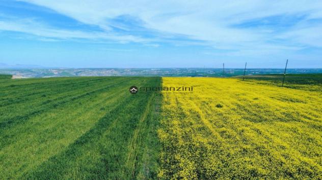 CENTINAROLA: Fano - centinarola inc ontesto prettamente residenziale, attorniato da una zona verde e ben servita, proponiamo in vendita lotto di terre - Foto 7