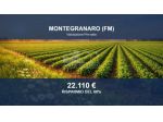 Immobile in asta di 17480 m² in vendita a Montegranaro