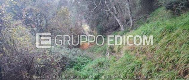 Terreno in vendita a Podenzana - Rif. 3559670 - Foto 6