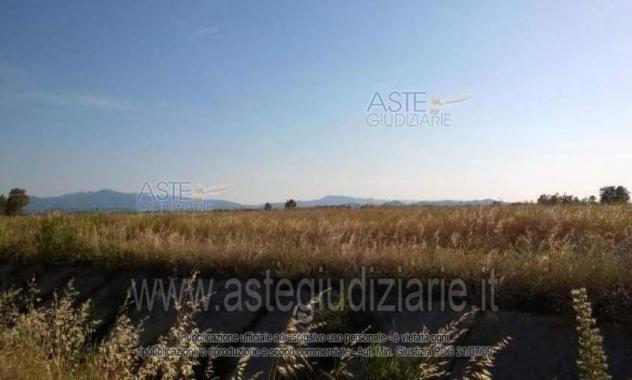 IMMOBILI-ALTRA CATEGORIA-Località Bia Mordegus