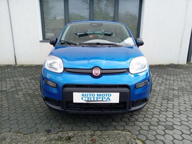FIAT Panda 1.0 MILD HYBRID MANUALE PANDINA OK NEOPAT. KM ZERO rif. 23681683 - Foto 2