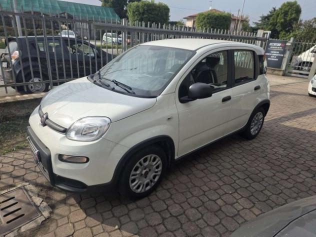 FIAT Panda 1.0 firefly hybrid s&s 70cv rif. 24151673 - Foto 2