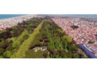 CASA INDIPENDENTE di 8 vani e di 180 mq (VIAREGGIO - Viareggio) rif. A1006