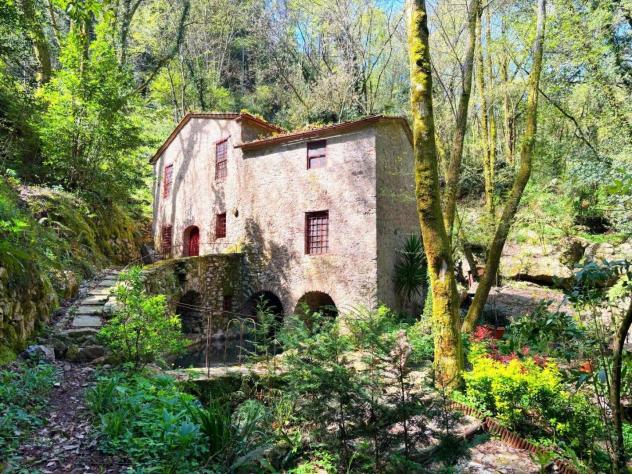 Rustico in vendita a Orbicciano - Camaiore 160 mq Rif: 1333691 - Foto 3