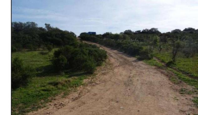 Immobile in asta di 258216 m² in vendita a Loiri Porto San Paolo - Foto 6