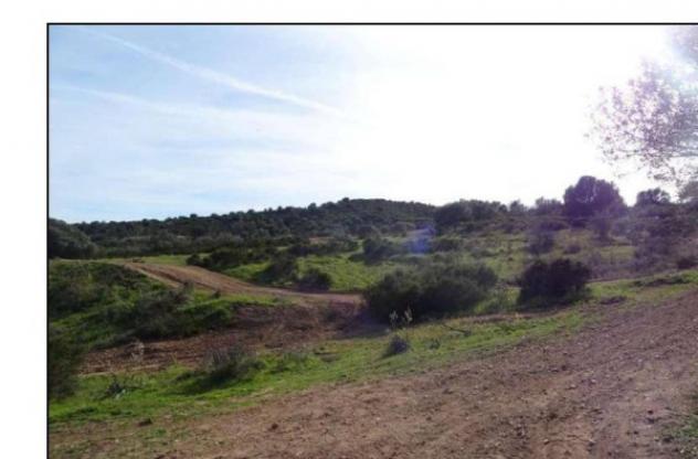 Immobile in asta di 258216 m² in vendita a Loiri Porto San Paolo