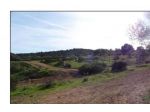 Immobile in asta di 258216 m² in vendita a Loiri Porto San Paolo